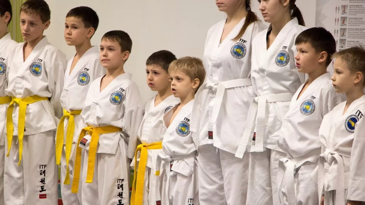 Аттестация на желто зеленый пояс тхэквондо. Аттестация тхэквондо. Тхэквондо сдача на пояс. Аттестация на зеленый пояс тхэквондо. Аттестация на пояса тхэквондо.