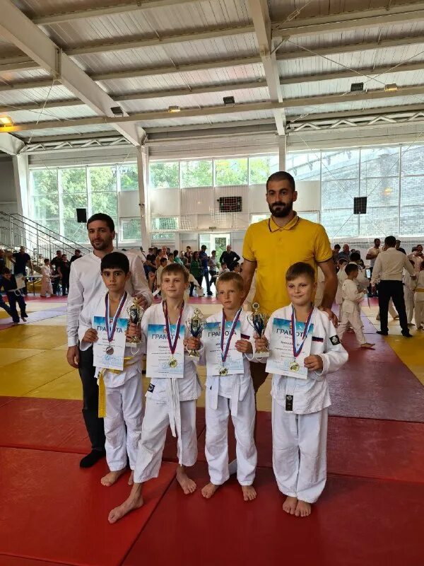 дзюдо сириус