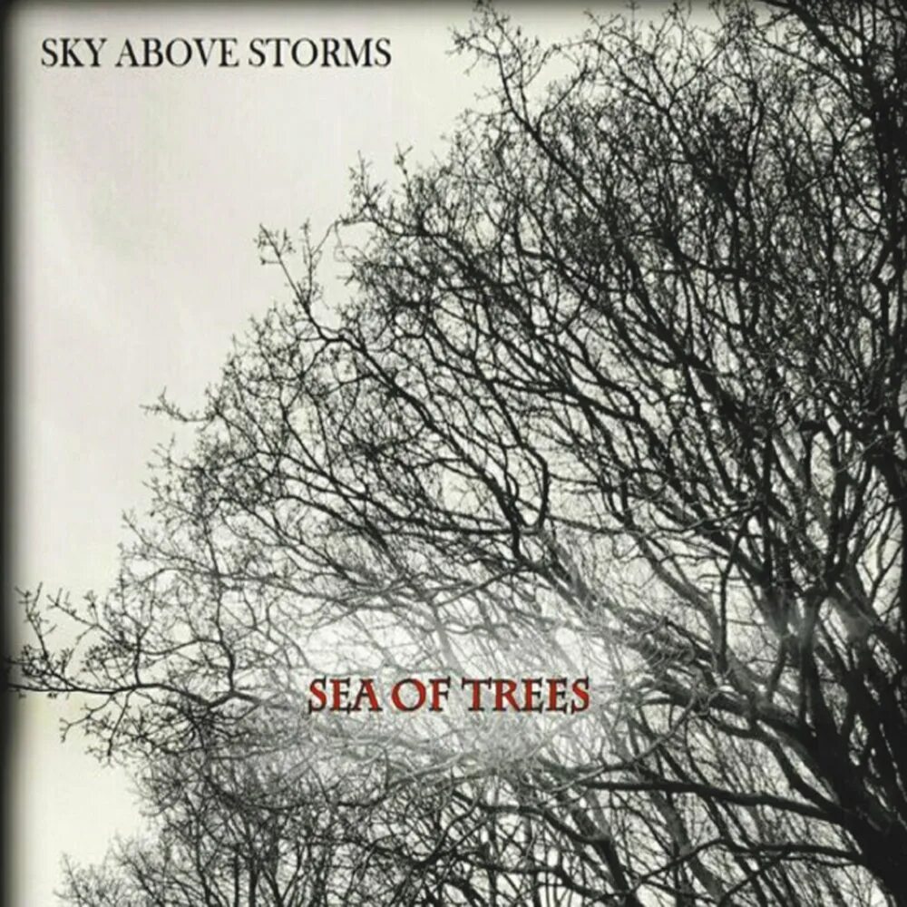 Sky above us. Sky chance 9.