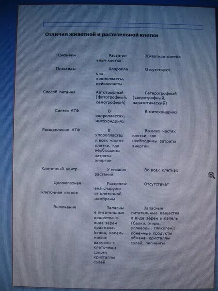 Что отличает растительную клетку от животной. Что отличает растительную клетку от животной
