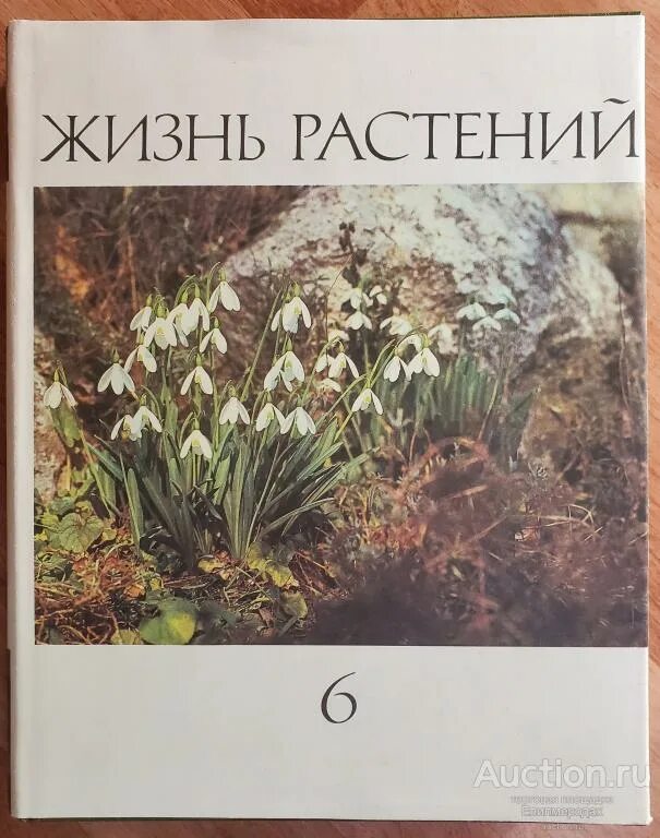 Жизнь растений том 3. Жизнь растений в 6 томах (1974-1982. Жизнь растений энциклопедия в 6 томах. Жизнь растений в 6 томах грибы. Жизнь растений Тахтаджян.