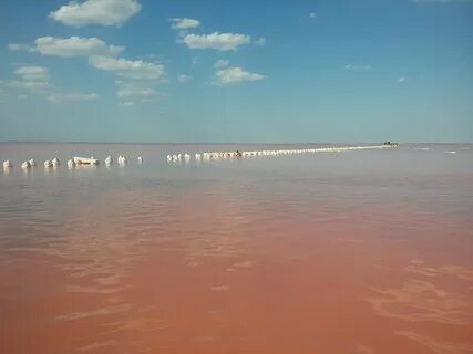 Сакское озеро в крыму