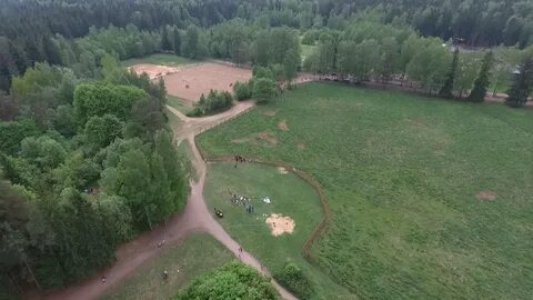 Токсово гагарина 22 лесничество