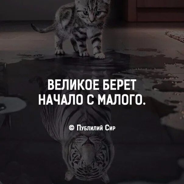 Начни с малого читать. Великое начинается с малого. Великое начинается с малого цитата. Большое начинается с малого цитата. Великие дела начинаются с малого.