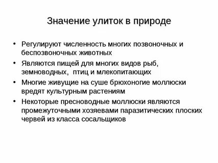 Значение беспозвоночных животных в жизни человека