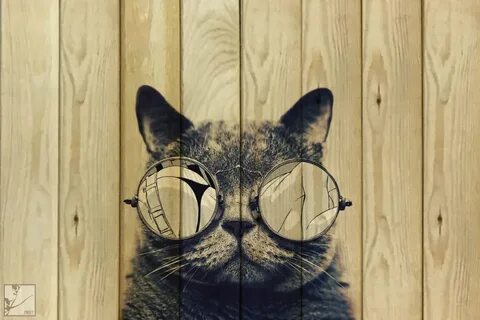 Постеры с котами