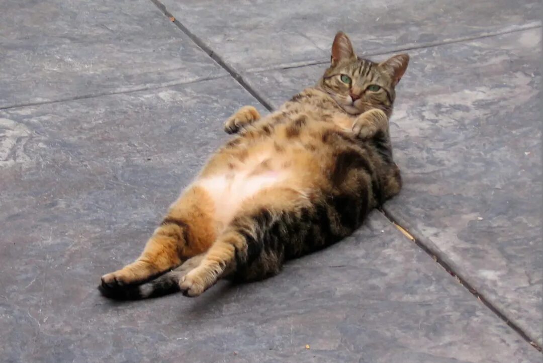 Спешите три. Супер акция. Акция успей. Время вопросов. Успей купить.