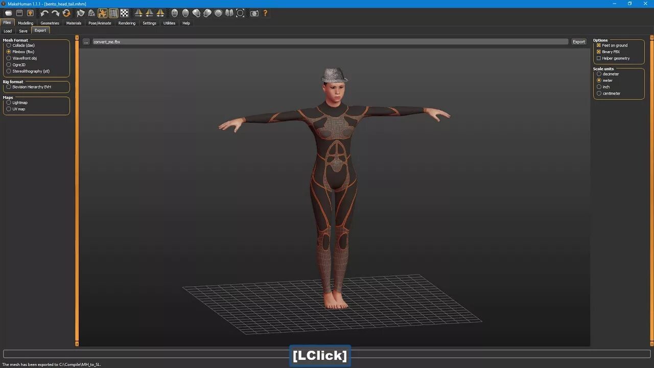 Fbx конвертер. MAKEHUMAN риггинг. MAKEHUMAN модели. 3д модель пола fbx. Fbx Формат.