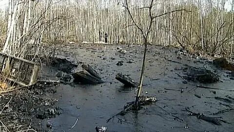 Экологические катастрофы иркутская область