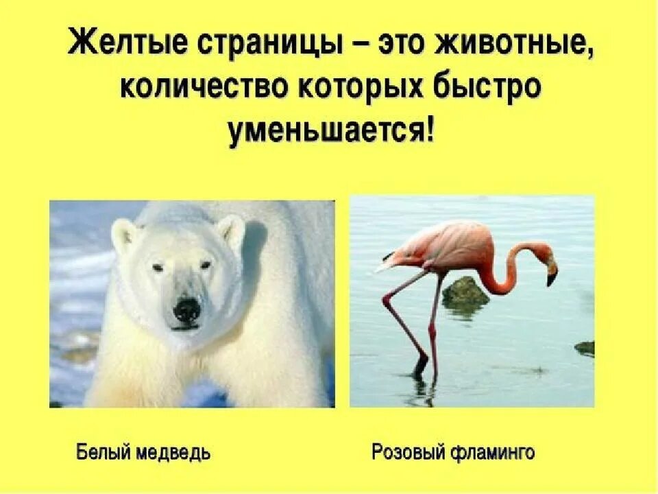 Название животных которые нуждаются в охране