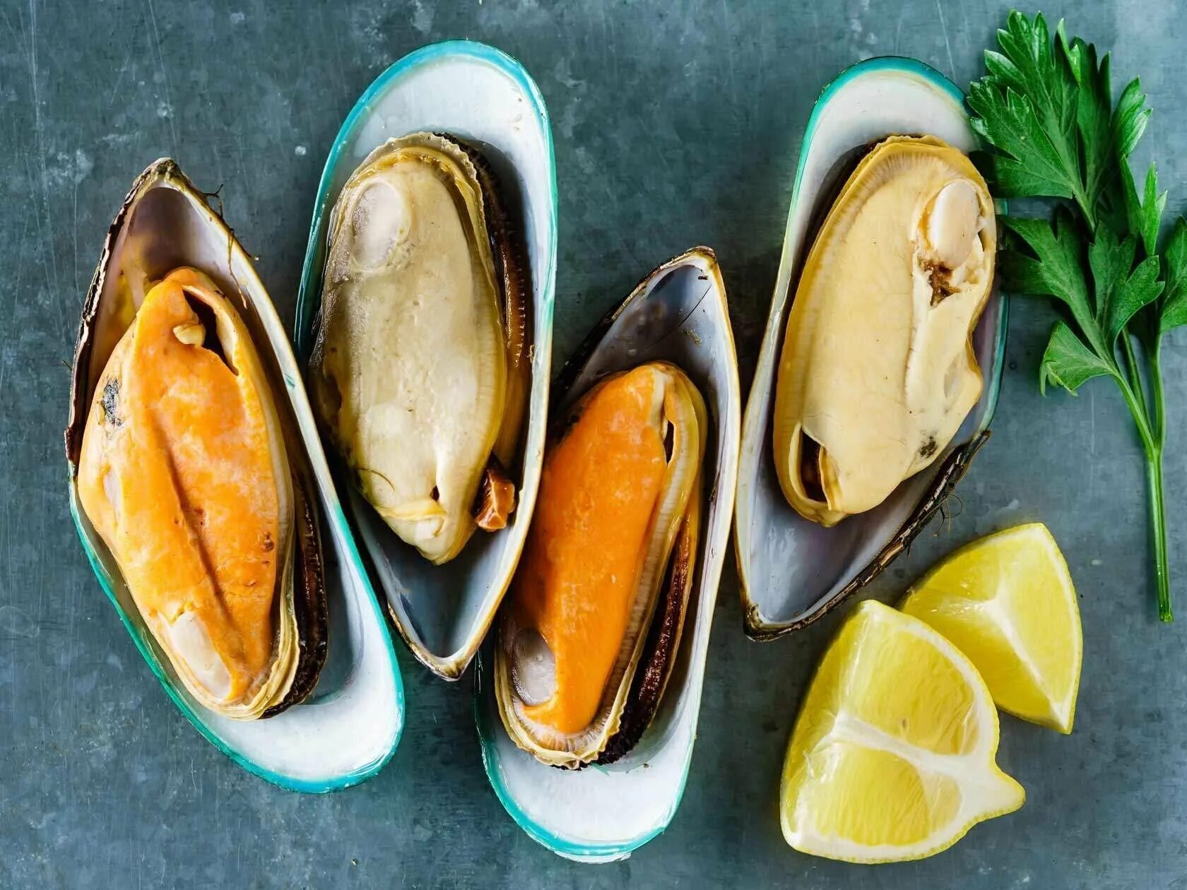 Цвет раковины мидии. Мидии киви greenshell mussels. новозеландские мидии киви. new zealand greenshell mussels. мидии киви на полустворке.