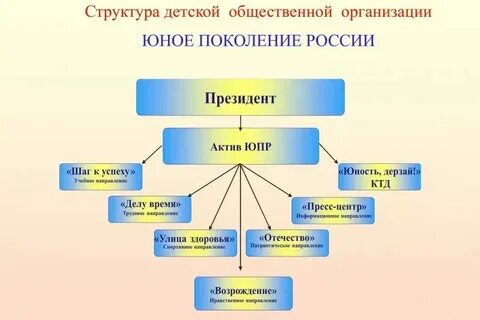 Самоуправление детские общественные объединения