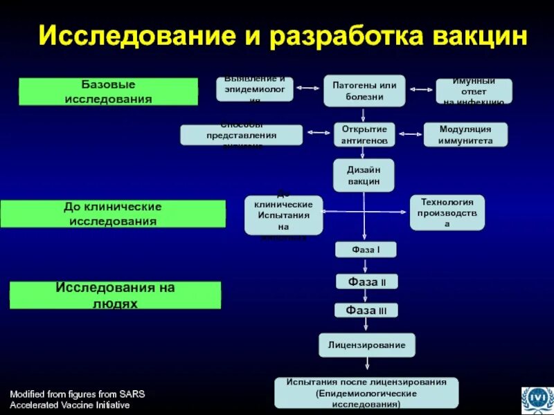 Технология вакцин. Фазы клинических исследований вакцины. Этапы разработки вакцины. Сроки разработки вакцины. Способы производства вакцин.