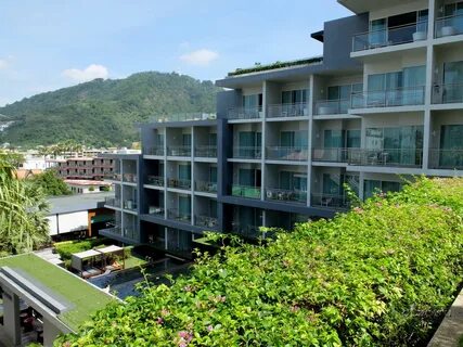 Sugar palm grand 4