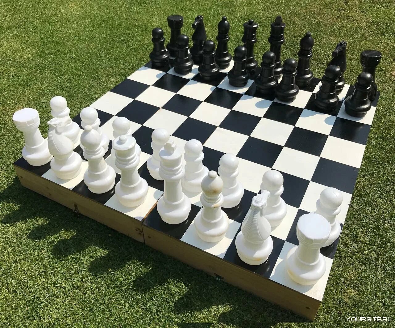Виды шахматных игроков