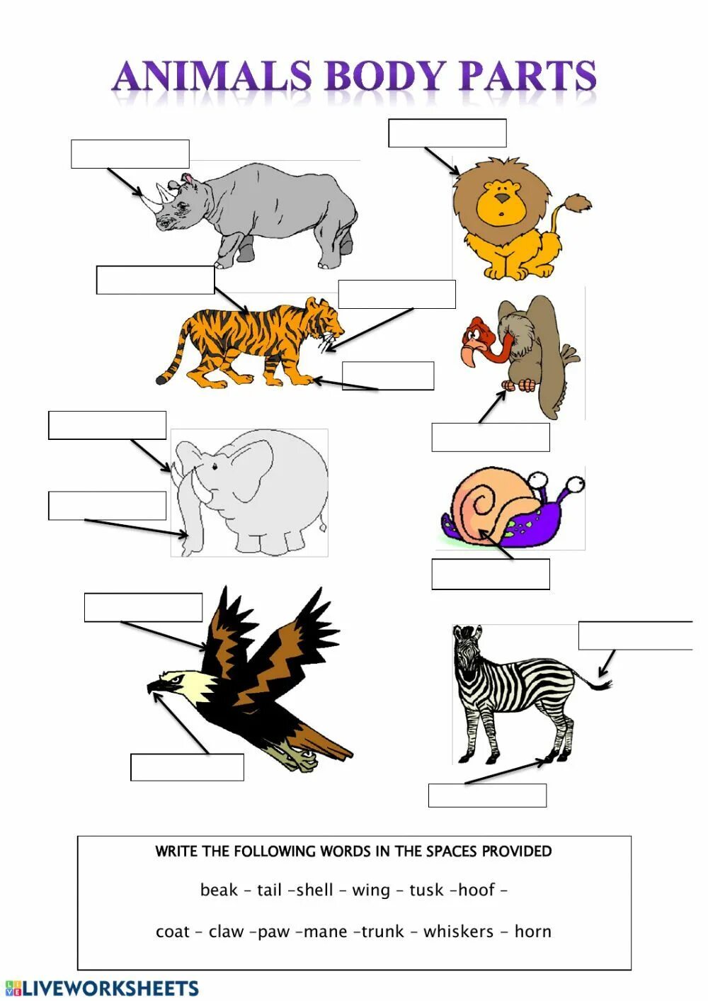 Части тела животного на английском. Части тела животных на англ. Части тела животных на английском для детей. Части тела животных worksheets. Задание на тему части тела животных.