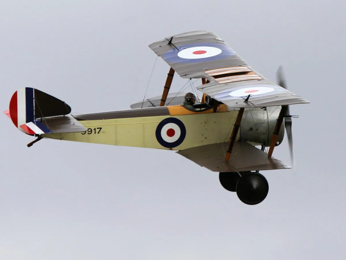 Самолет пап. Aircraft papa. Сопвич пап самолет. Для мальчиков самолёты. Сопвич пап самолет.
