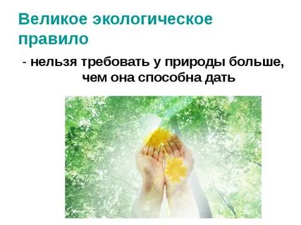 Действия людей на природу это