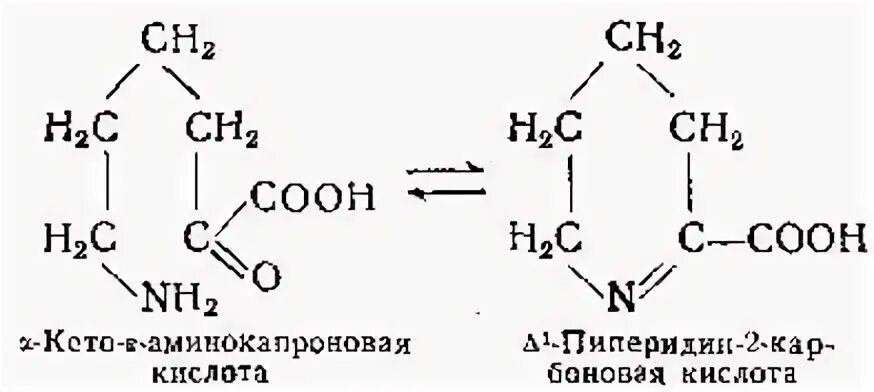 Общая биохимия это