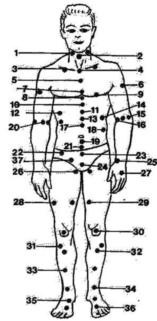 Больные места у человека. Тело человека анатомия и болевые точки. Болевые точки в организме человека. Болевые точки на теле человека. Болевые человека болевые точки на теле.