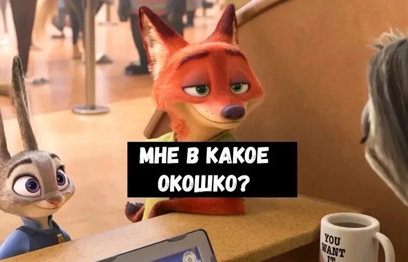 Свинтус кот бегемот. Свинтус кот бегемот