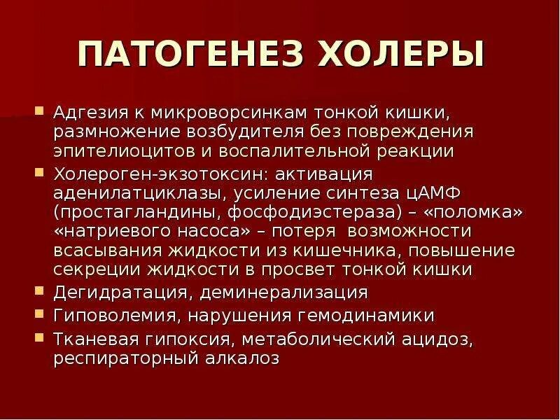 Источником инфекции при холере является. Механизм развития холеры. Возбудитель холеры патогенез. Холера этиология. Холера этиология патогенез.