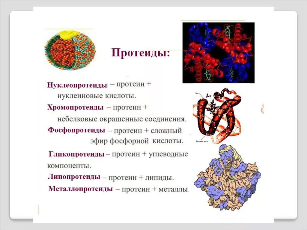 Группы сложных белков. Сложные белки протеиды. Классификация белков протеины и протеиды. Сложные белки хромопротеиды и нуклеопротеиды. Белки протеиды структура.