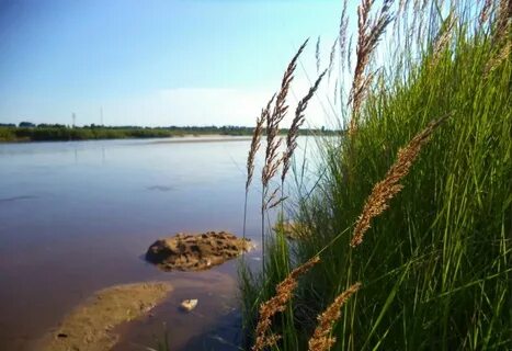 Томь белогорск