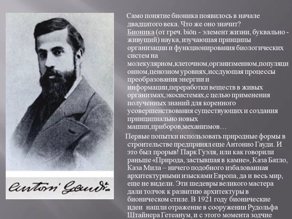 Слова появившихся в 20 веке. Понятие Бионика. Основоположник бионики. Бионика начала 20 века. Бионика это наука изучающая.