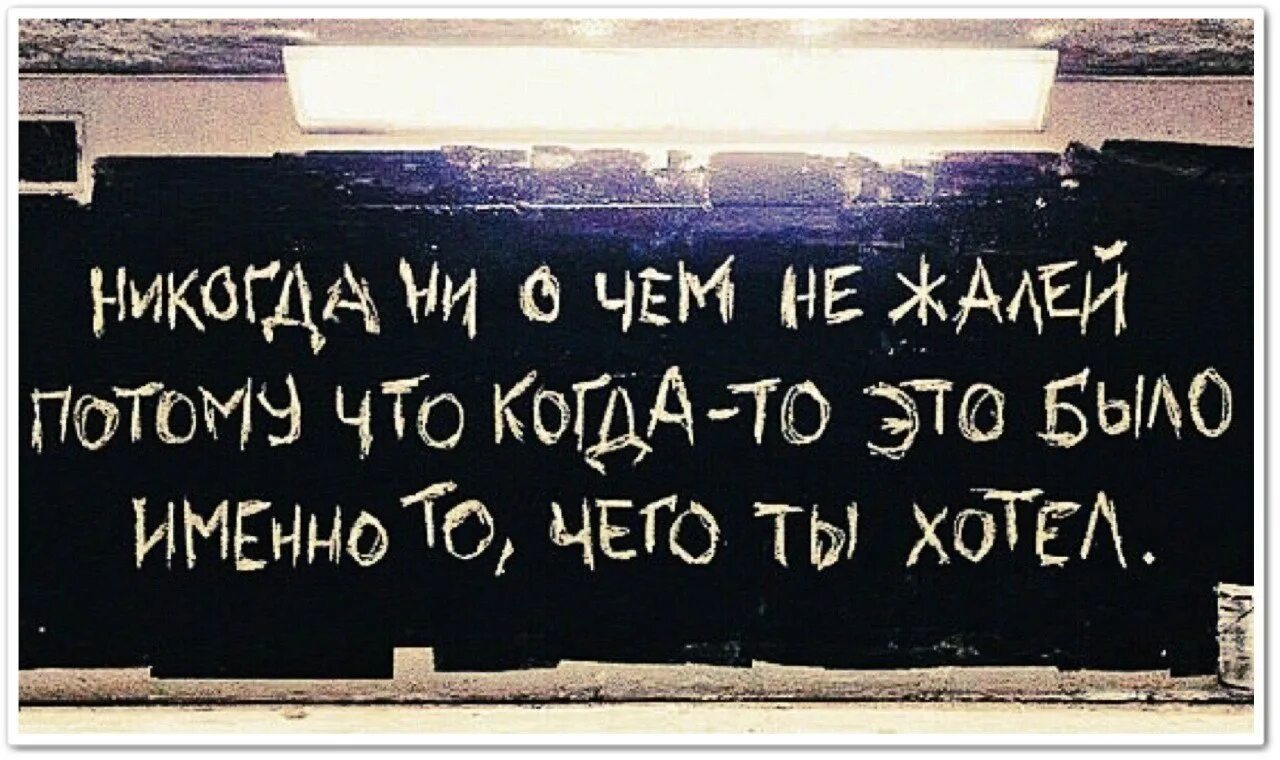 Это именно то что было нужно. Не жалей ни о чем. Никогда ни о чем не жалей. Не жалей ни о чем цитаты. Никогда ни о чем не жалей картинка.