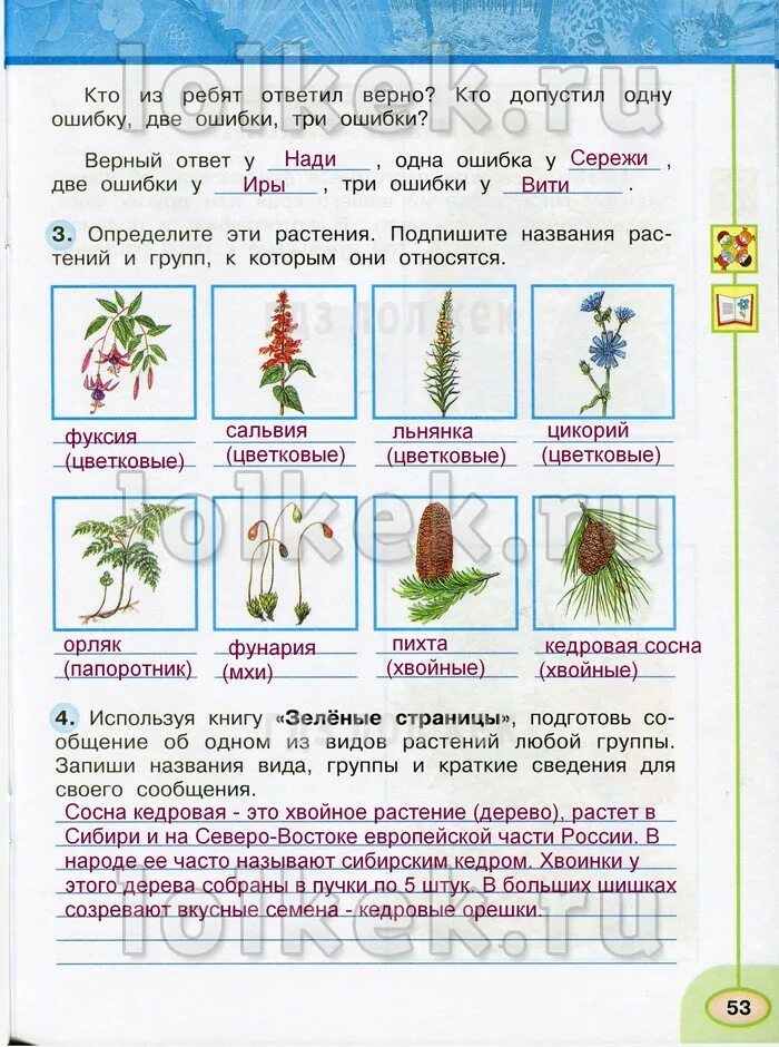 Окружающему миру 3 класс Плешаков рабочая тетрадь мир растений. Мир растений 3 класс окружающий мир рабочая тетрадь. Растения 3 класс окружающий мир. Мир растений 3 класс окружающий мир рабочая. Окружающий 3 класс страница 52