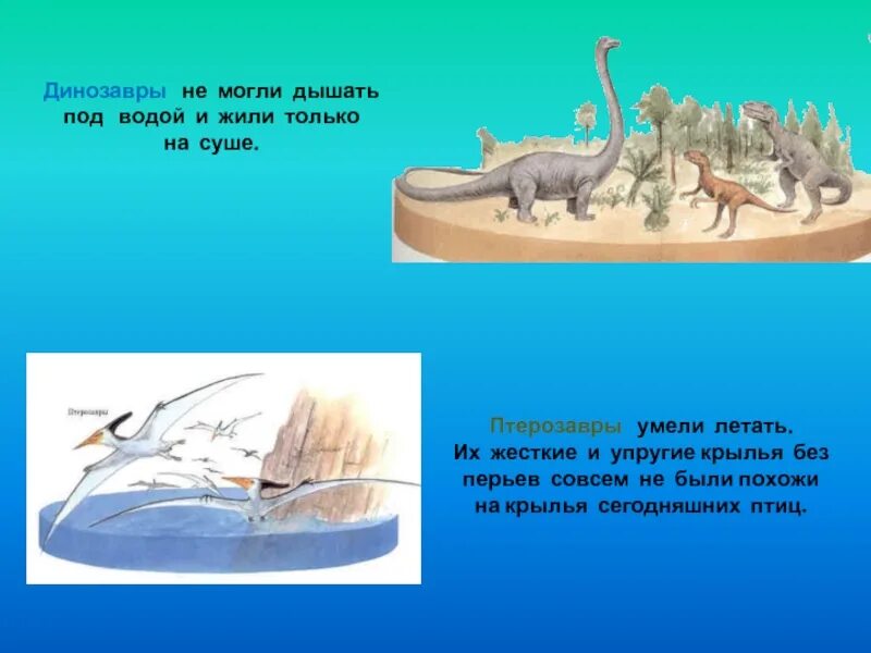 Динозавр живущий в воде. Динозавры живущие в воде. Динозавры под водой. Динозавры которые жили в воде. Динозавры которые жили на суше.