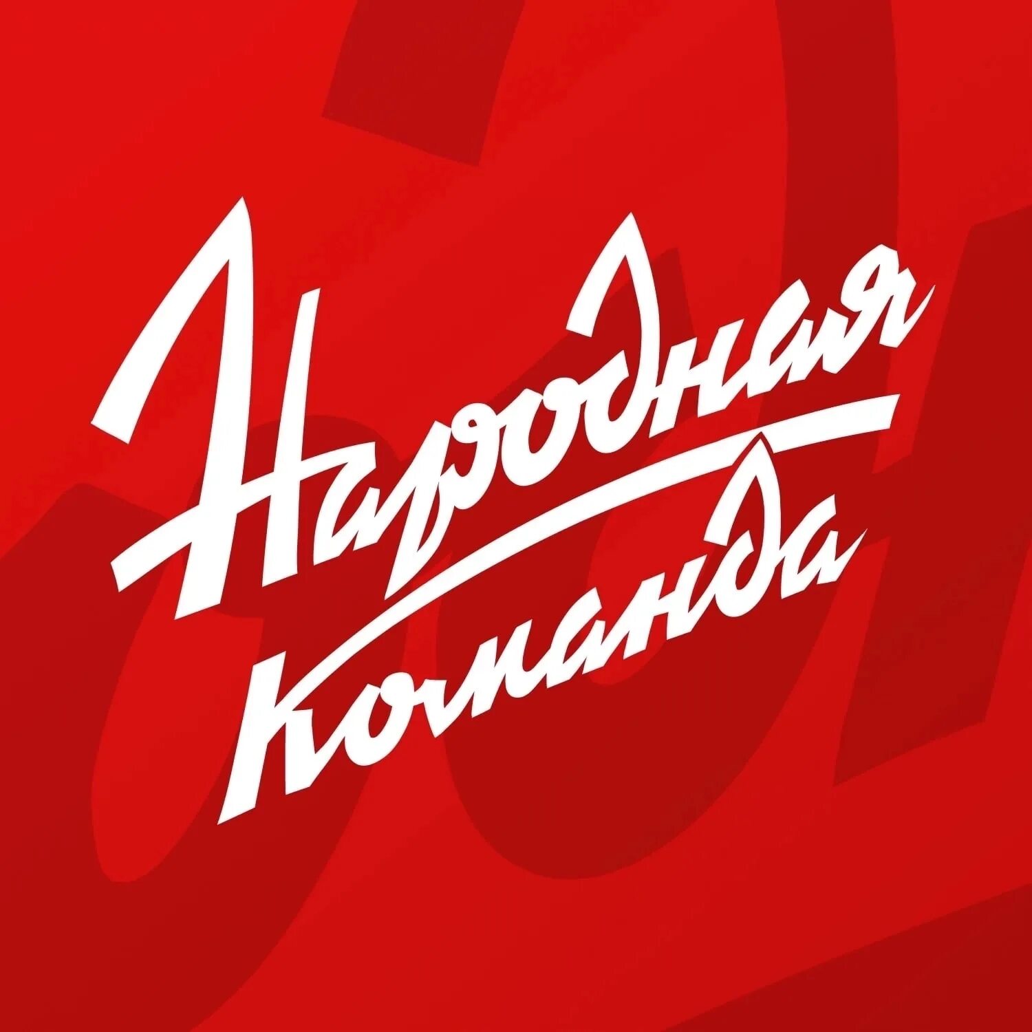 Народная команда кони. Народная команда кони. Народная команда кони. Лошадь фото. Название команды лошадей.