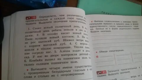 Найдите в тексте имена прилагательные выпишите
