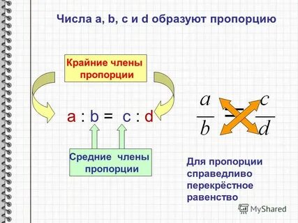 Пропорция 0 8 х