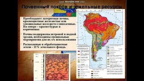 Какой тип почв характерен для северной америки