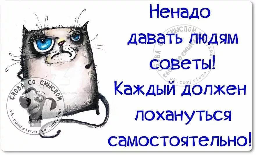 Позитивные советы в картинках. Совета дата. Совета дата. Совет дня в картинках. Афоризмы советы дня.