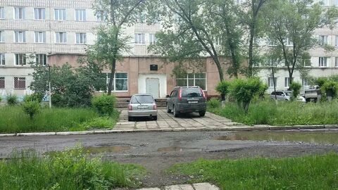 Эльбан амурский хабаровский край