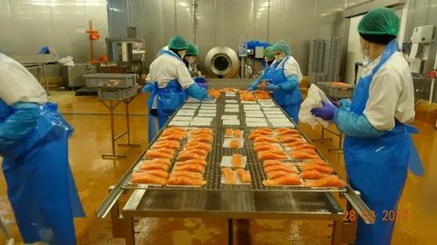 Работа в рыбном вакансии