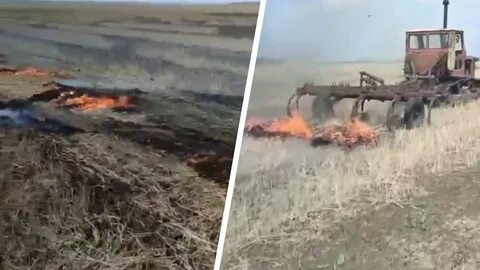 Поймали на поле
