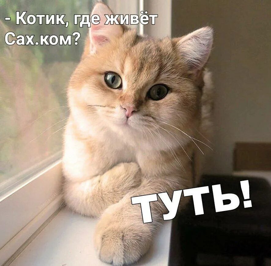 Ты знаешь что я тут