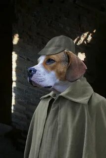 Собака холмса
