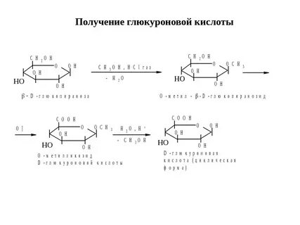 Роль глюкуроновой кислоты
