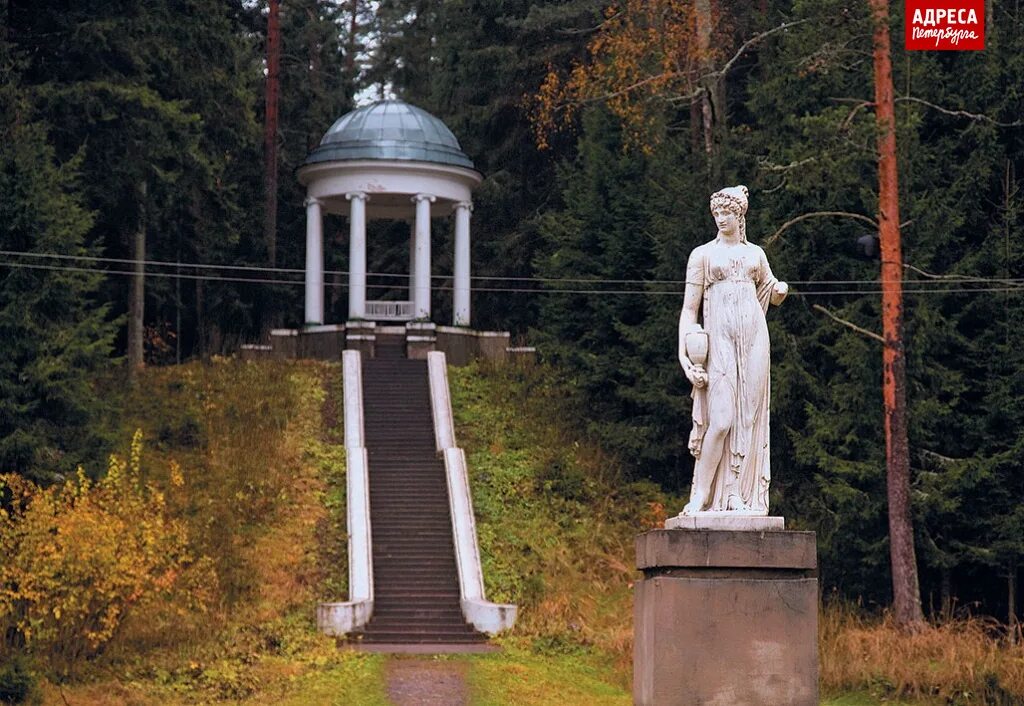 Санаторий боровое ленинградская область. Санаторий боровое ленинградская область. Боровое луга. Усадьба боровое. Санаторий боровое ленинградская область.