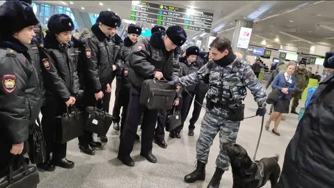 Лу в аэропорту домодедово