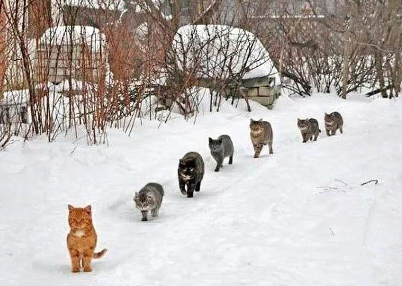 Хоть и недолго