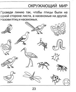 Включи задание окружающий мир