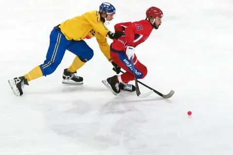 Шведов 5 букв
