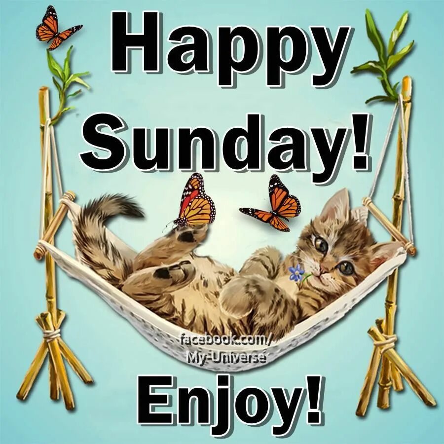 Sunday. Happy sunday. sunday картинки. happy sunday картинки. sunday воскресенье.