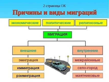 Соотнесите виды культуры и их примеры Соотнесите типы миграции и виды рыб